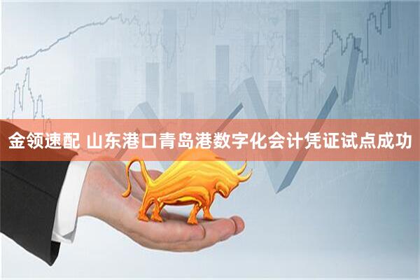 金领速配 山东港口青岛港数字化会计凭证试点成功