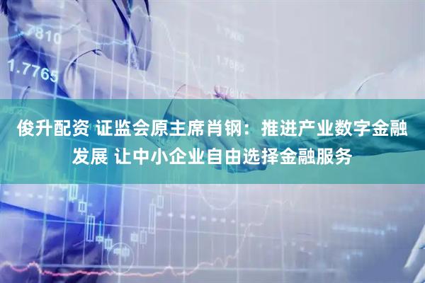俊升配资 证监会原主席肖钢：推进产业数字金融发展 让中小企业自由选择金融服务