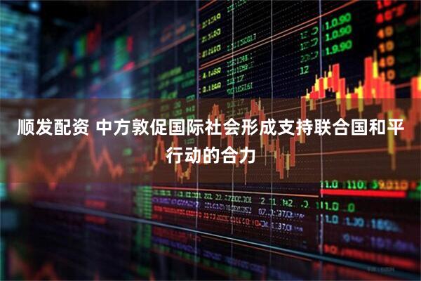 顺发配资 中方敦促国际社会形成支持联合国和平行动的合力