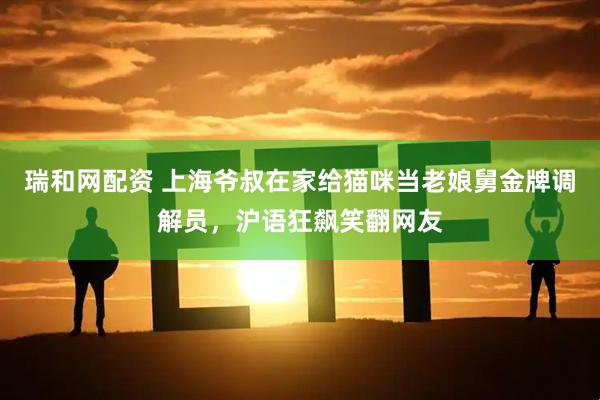 瑞和网配资 上海爷叔在家给猫咪当老娘舅金牌调解员，沪语狂飙笑翻网友