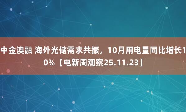 中金澳融 海外光储需求共振，10月用电量同比增长10%【电新周观察25.11.23】