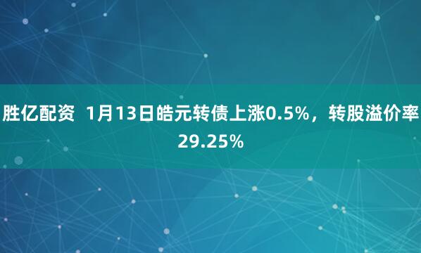 胜亿配资  1月13日皓元转债上涨0.5%，转股溢价率29.25%